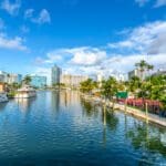 Coastal city canal with boats and palm trees