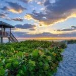 Beach path to lifeguard hut at sunrise